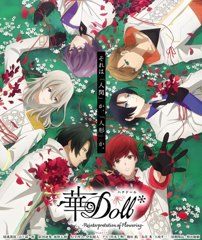 華Doll