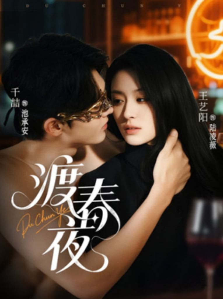 渡春夜海报图片