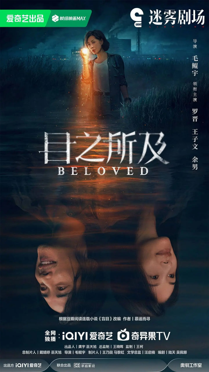 目之所及海报图片