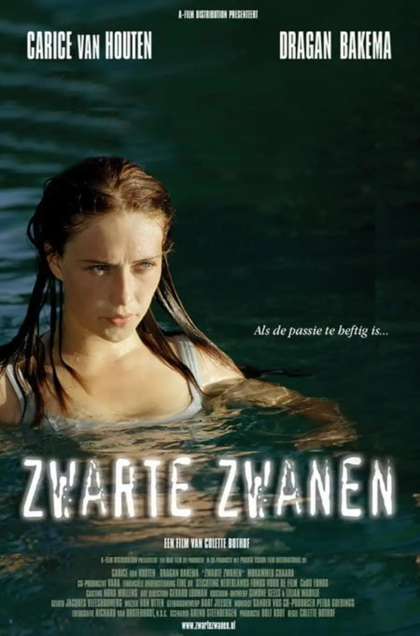 黑天鹅 2005海报图片