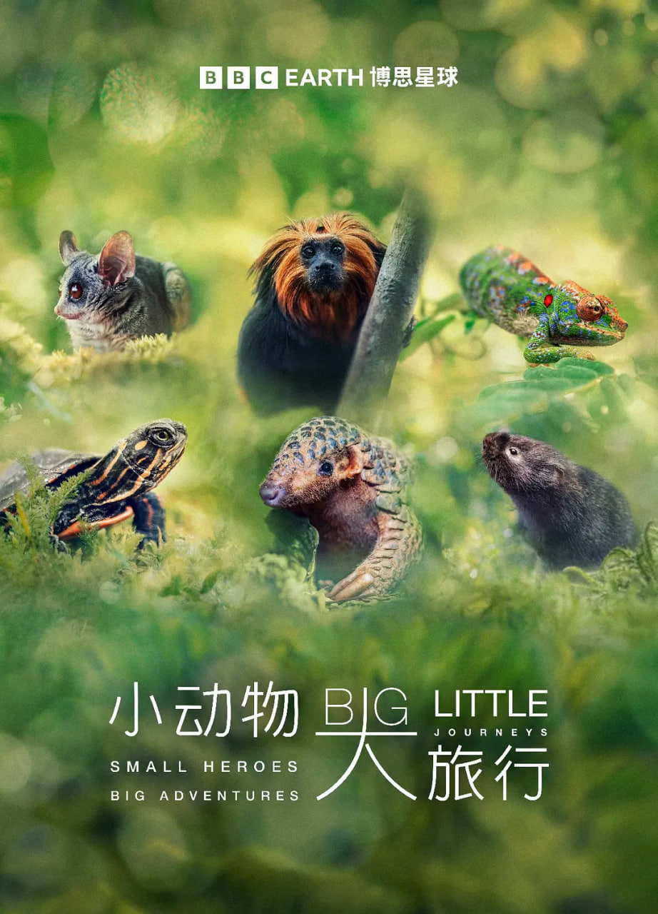 海报背景