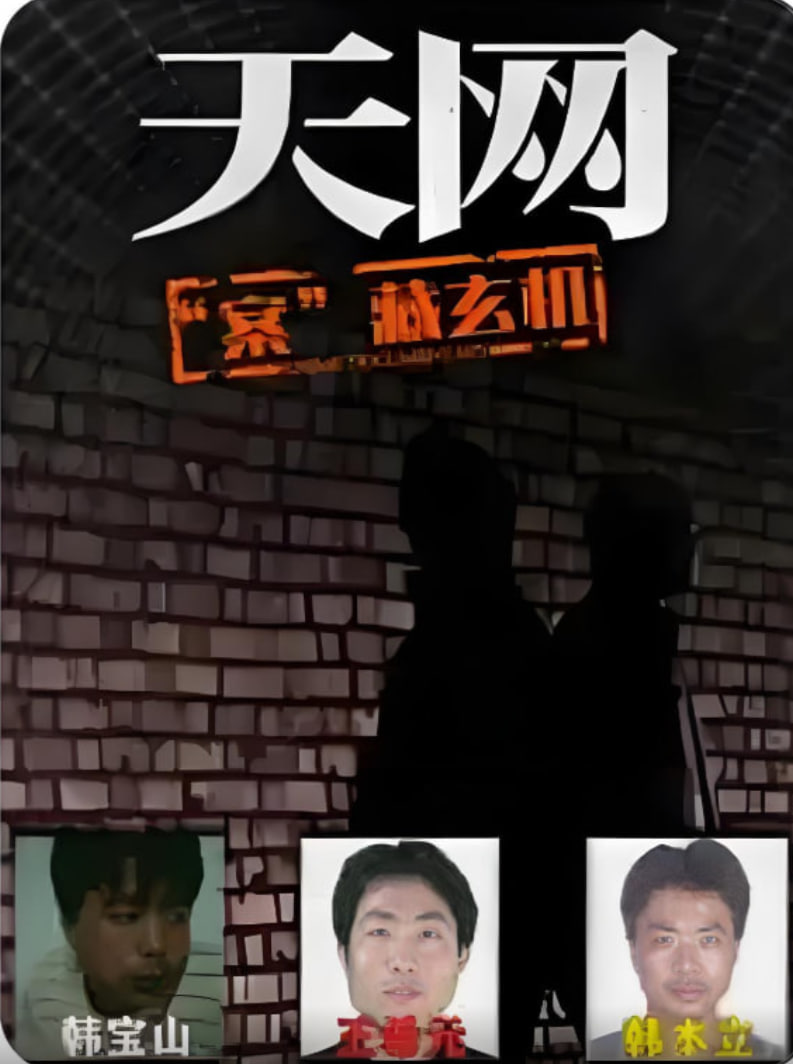 天网:案藏玄机