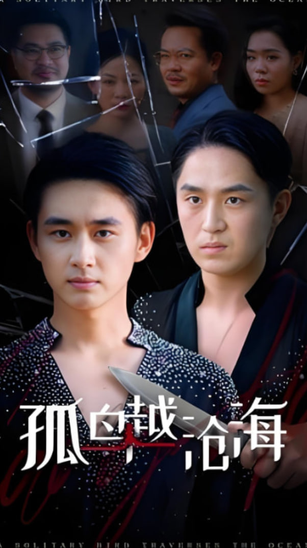 孤鸟越沧海封面图