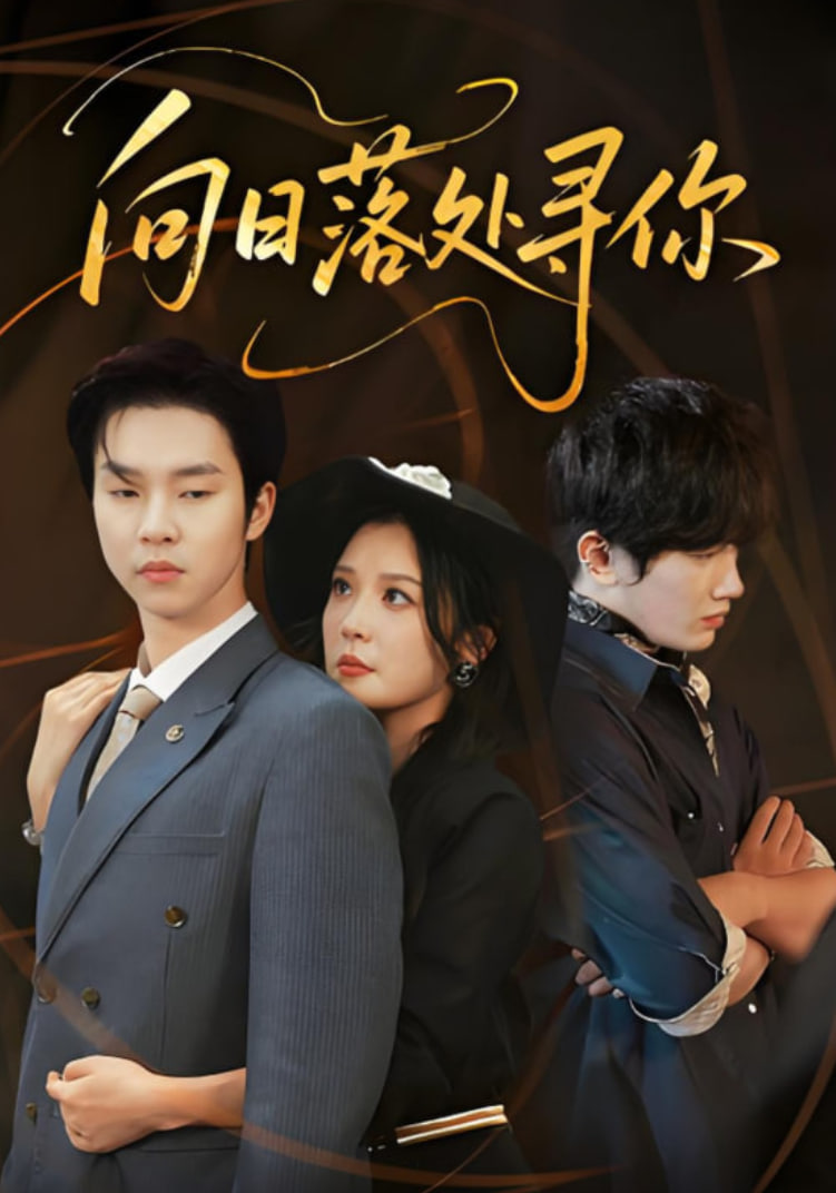 向日落处寻你封面图