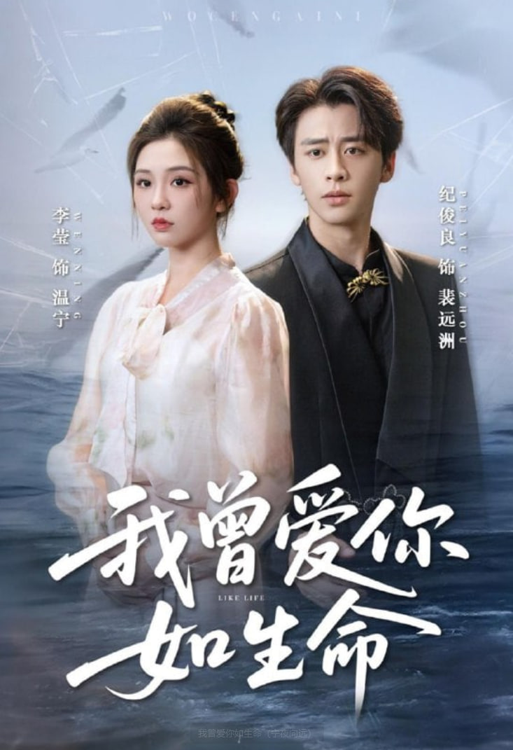 我曾爱你如生命宁夜向远