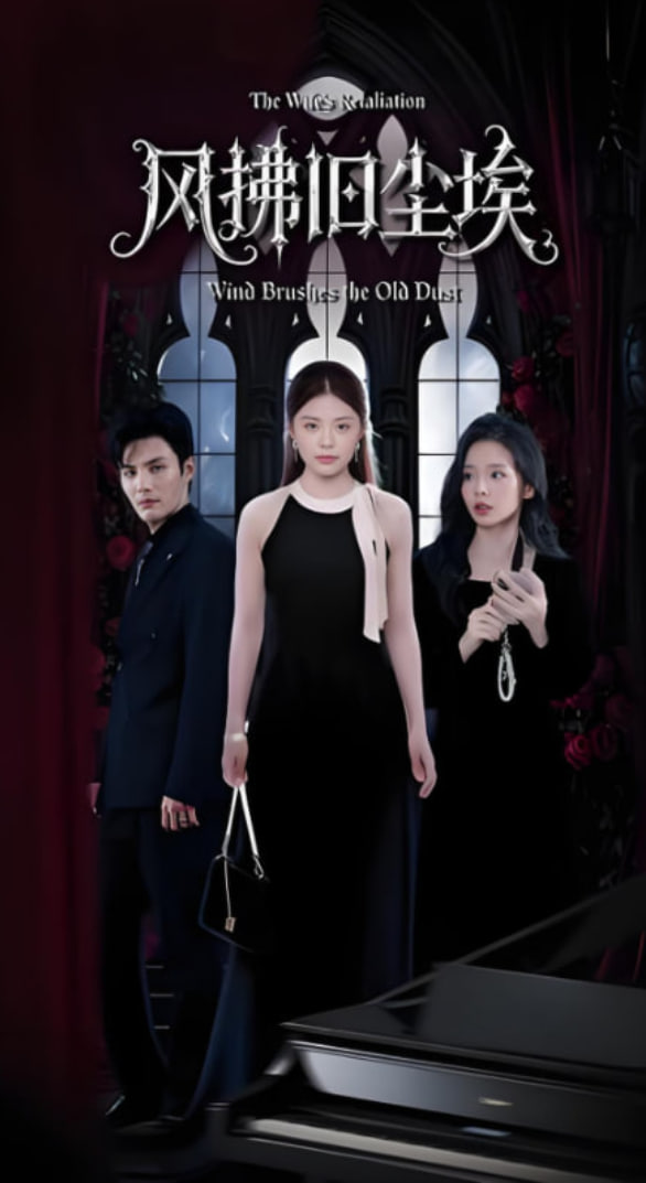 风拂旧尘埃封面图