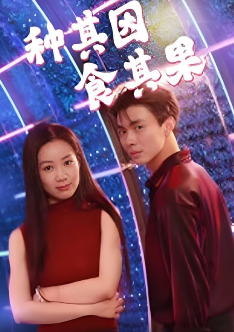 种其因，食其果封面图