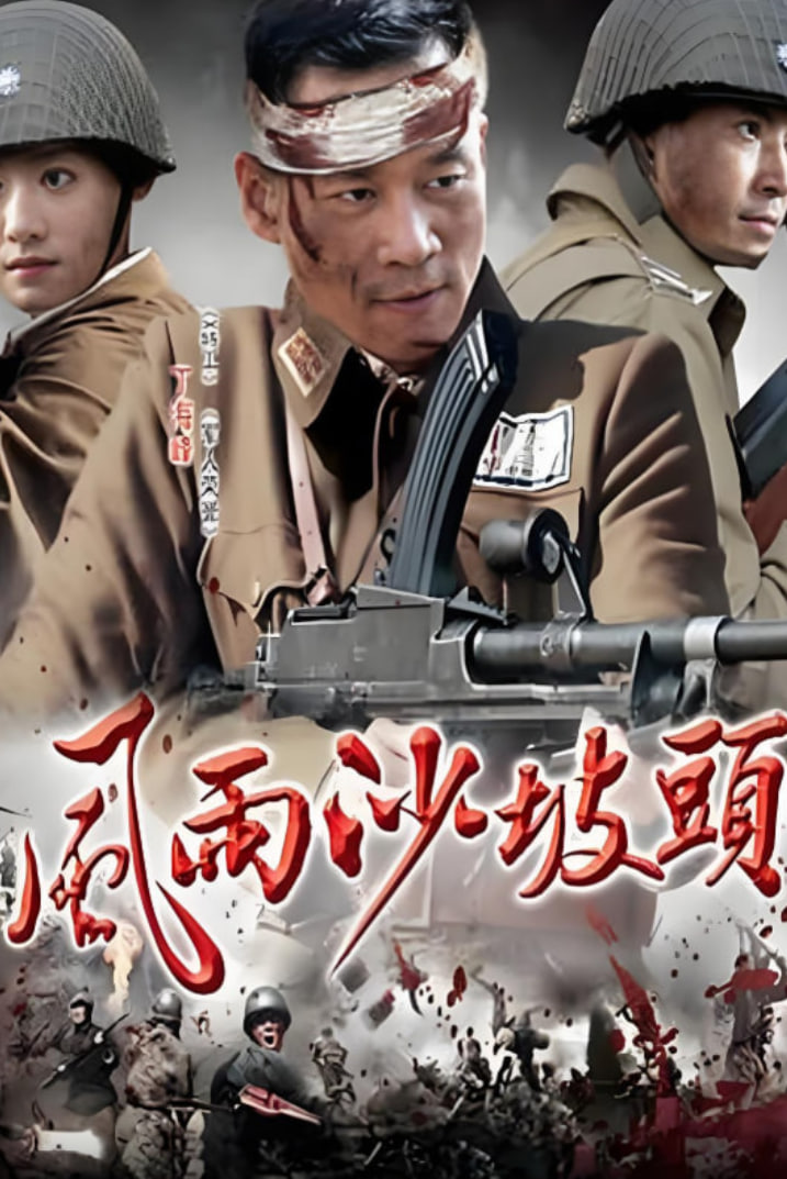 风雨沙坡头封面图