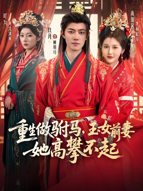 重生做驸马玉女前妻她高攀不起