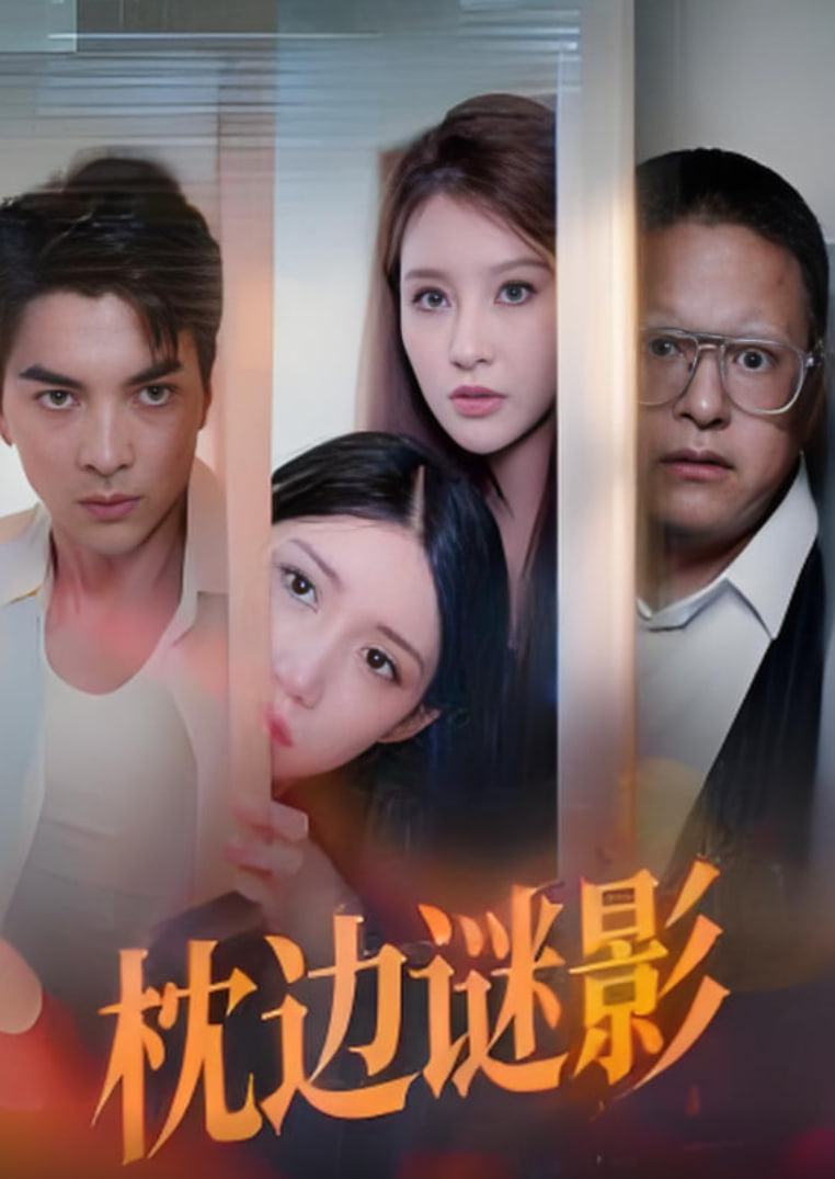 枕边谜影（我撞破了妻子的秘密）封面图