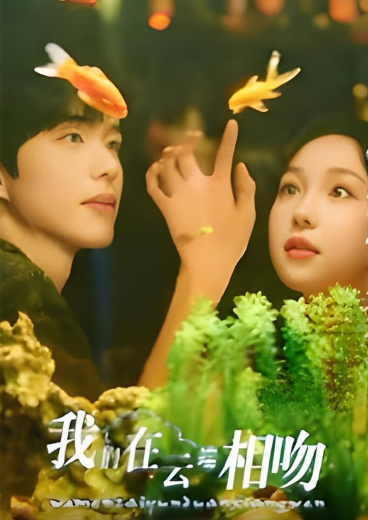 我们在云端相吻封面图